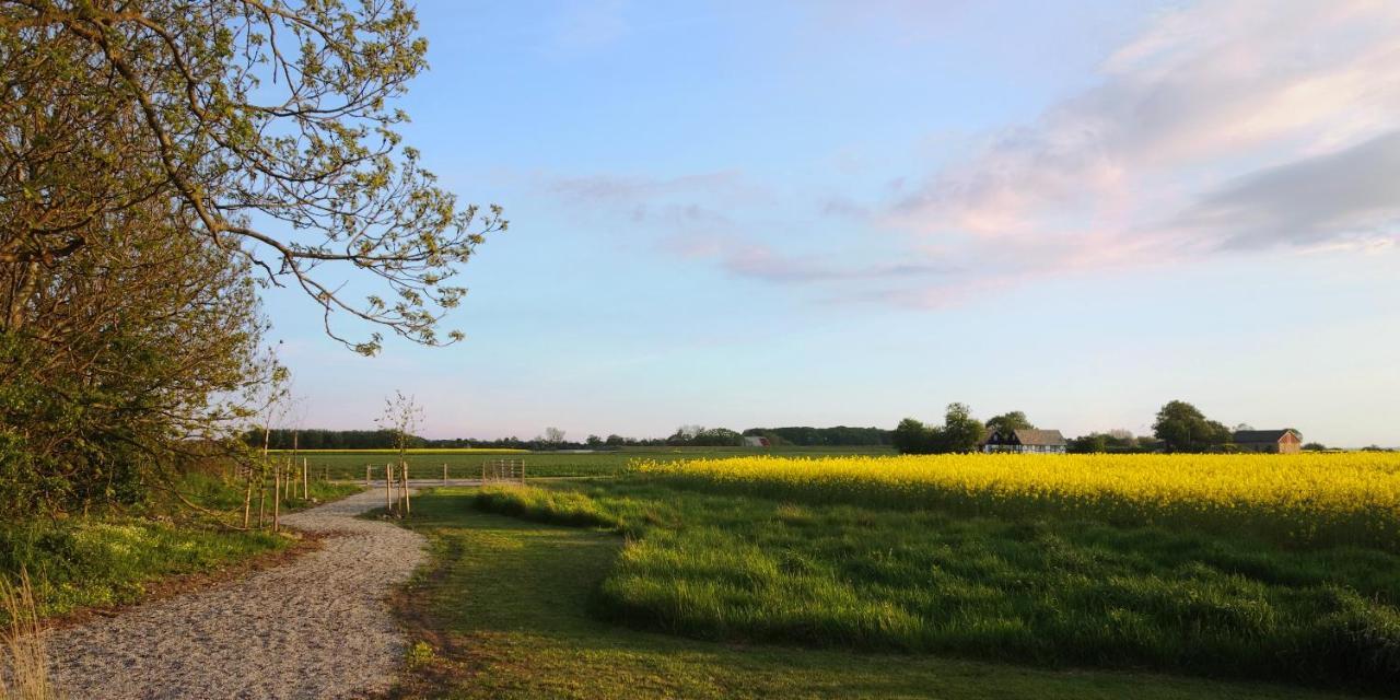 Vikens Bed And Breakfast Viken  エクステリア 写真